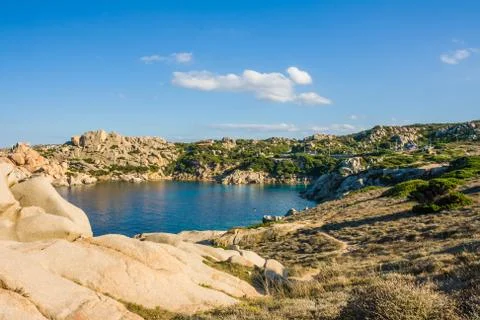 Capo testa Stock Photos