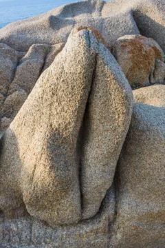 Capo testa Stock Photos