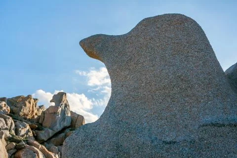 Capo testa Stock Photos