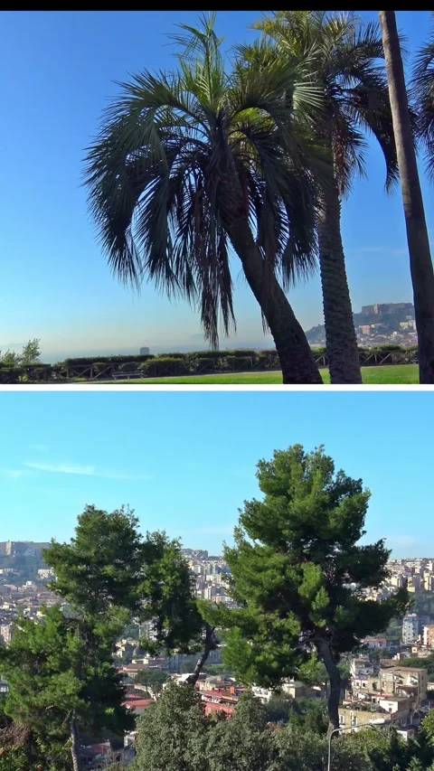 Capodimonte Naples split screen park and royal palace, historic gardens and arch Stock Footage 331541113