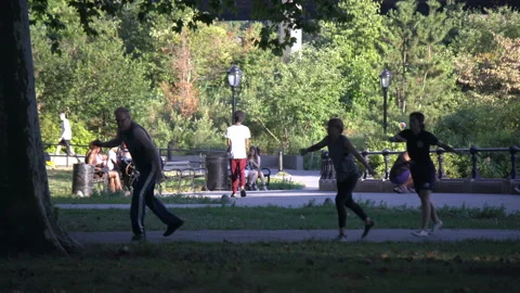 Capoeira Instruction in the Park 스톡 동영상 234203336