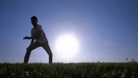 Capoeira on the lawn Stock Footage 82006453