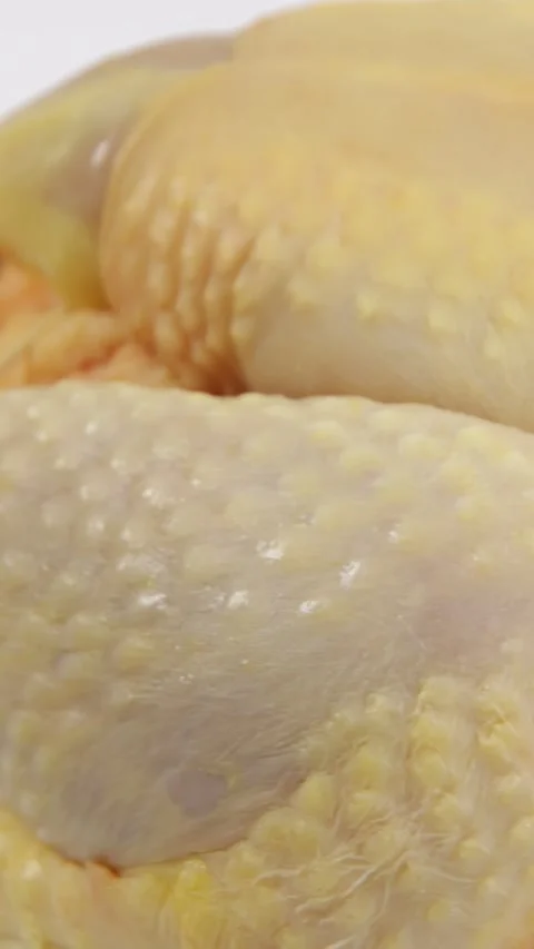 Capon close-up, isolated on a white background Stock Footage 228398466