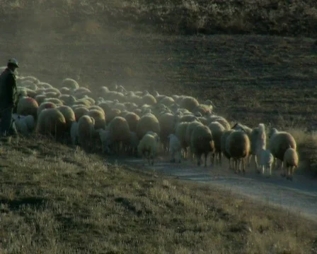 Cappadocia Stock-Footage 671817