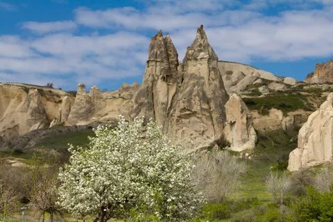 Cappadocia Stock Photos
