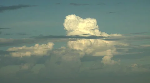 Capped by a Pileus Stock Footage 54735732