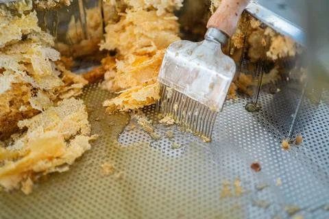 Capping Scratcher in a Metal Decapping Tray with Beewax and Honey Stock Photos