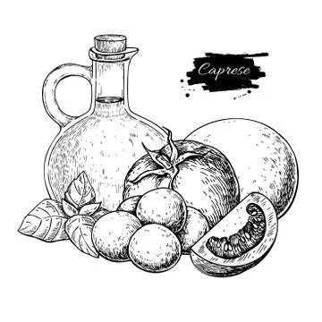 Caprese salad ingredients. Vector drawing. Stock Illustration