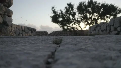 Capri 2020 Stock Footage 133466299