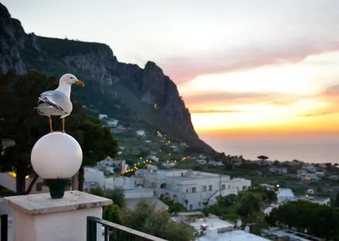 Capri sunset Stock Photos