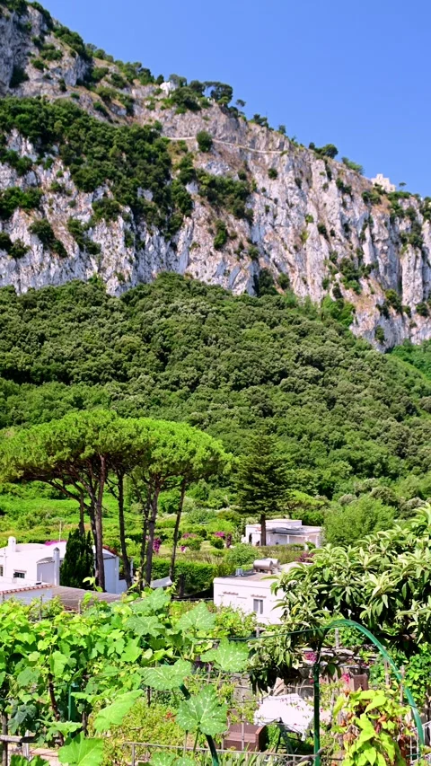 Capri view 1 스톡 동영상 312195512