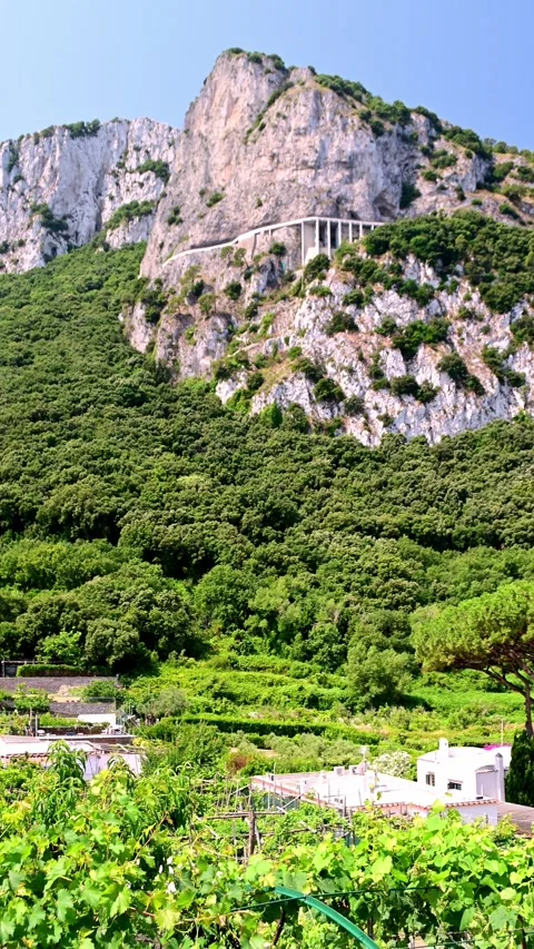 Capri view 2 스톡 동영상 312195565