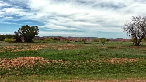 Caprock Canyons State Park Stock Footage 316766103
