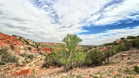 Caprock Canyons State Park Stock Footage 316792466