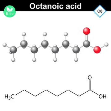 Caprylic acid molecule Stock Illustration