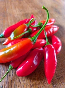 Capsicum baccatum Foto stock