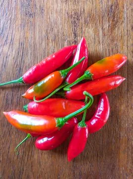 Capsicum baccatum Stock Photos