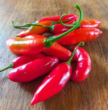 Capsicum baccatum Stock Photos
