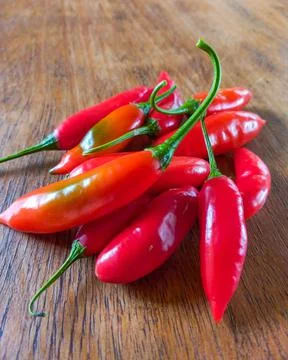 Capsicum baccatum Stock Photos