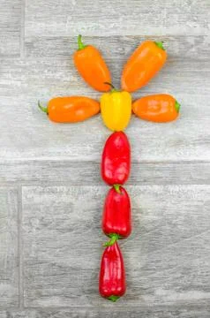 Capsicum background  flower Stock Photos
