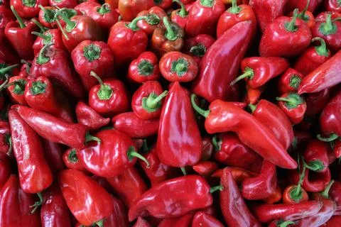 Capsicum pepper. Stock Photos