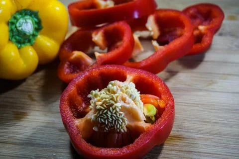 CAPSICUM Stock Photos