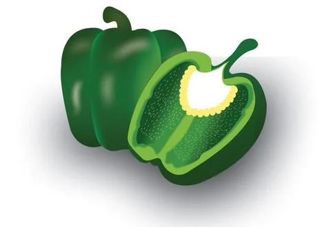 Capsicum vector illustration. Stock Illustration