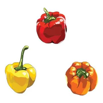 Capsicums Stock Illustration