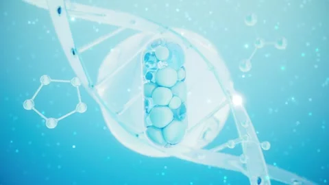 Capsule drugs and the dynamic background of the DNA helix structure Vidéo 315029619