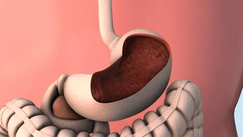 Capsule endoscopy and wireless communication Stock-Illustration