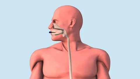 Capsule endoscopy and wireless communication Stock Illustration