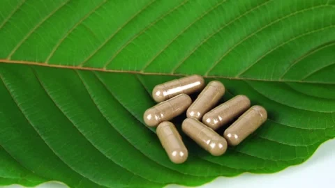 Capsule on kratom leaf on white background,(Mitragyna speciosa) Stock Footage 169172606