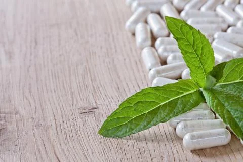 Capsules and a sprig of mint Foto stock