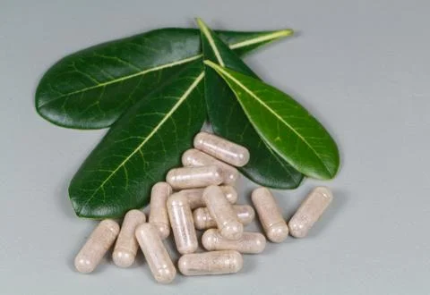 Capsules of plants extract Stock Photos