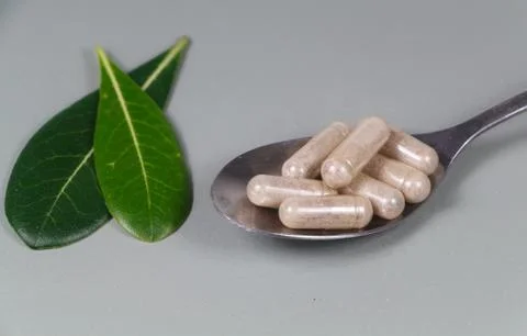 Capsules of plants extract Stock Photos
