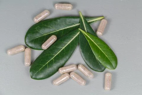 Capsules of plants extract Stock Photos