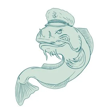 Captain Catfish Drawing. Stock Illustration