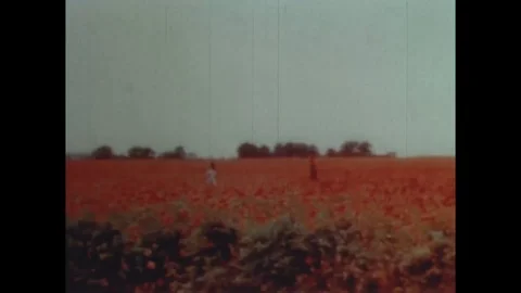 Captain talking to angry chef in the kitchen - 1943 Vidéo 103588734