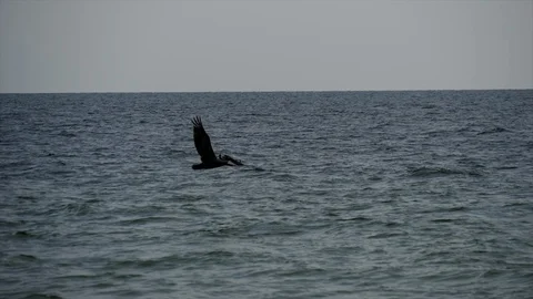 Captiva Island Florida 스톡 동영상 94041379