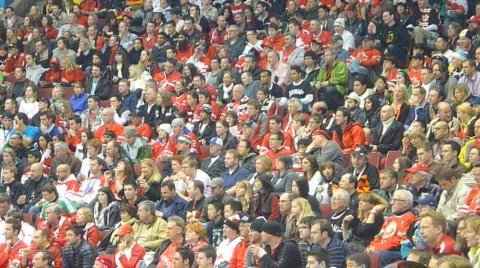 Captivated Stadium Fans Stock Footage 649631