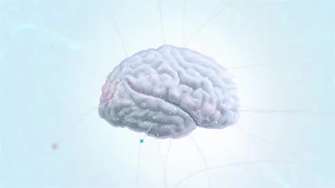 Captivating 3D animation of a translucent brain with neural connections and Stock Footage 259492502