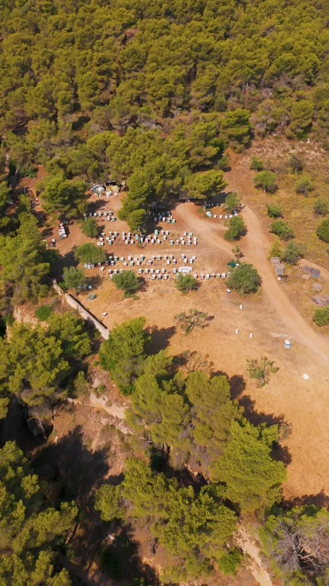 Captivating Aerial View of Beekeeping Site in Lush Spetses Landscape 스톡 동영상 330985590