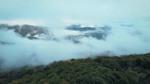 Captivating aerial view featuring a tranquil forest covered mountain range, s Stock-Footage 309887101