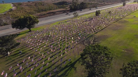 Captivating Aerial View of a Vibrant Field Filled with Colorful Flags Alongside 스톡 동영상 317139780