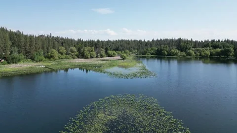 Captivating Aerial Views: Exploring the Calm Waters of Fish Lake, Washington Stock Footage 242197436