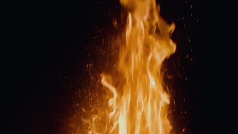 The captivating and mesmerizing flames beautifully dance in the total darkness Stock Footage 295888901