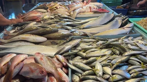 A captivating array of fresh aquatic produce fills a vibrant market stall, .. Video stock 325259027