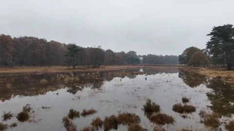 Captivating Autumn Views: Exploring Forests with Drone Footage Stock Footage 278167854