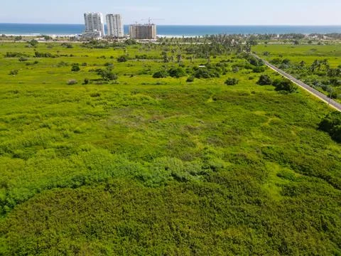 A Captivating Beachfront: Lush Greenery, Captured from the Aerial Perspective Stock Photos