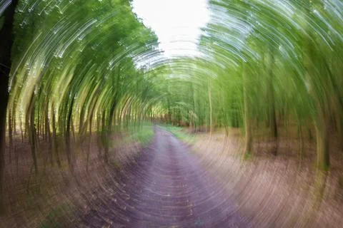A captivating, blurred pathway surrounded by lush green trees, evoking a sens Stock Photos